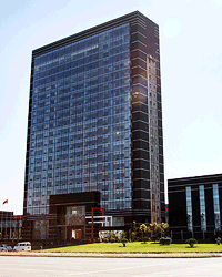 �P�����d